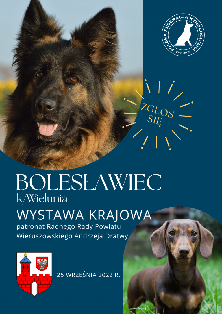Wystawa Psów Rasowych Bolesławiec 2022