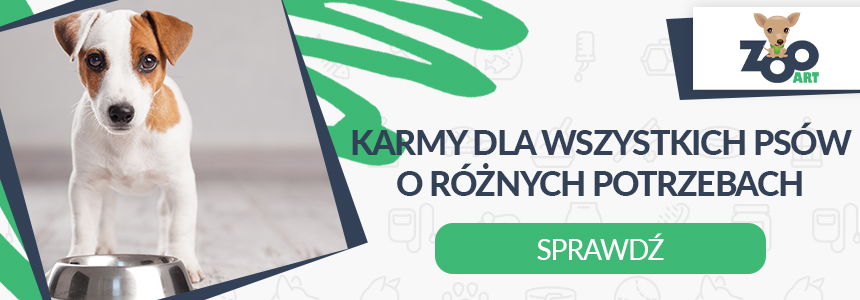 Akcesoria dla psa i najlepsze karmy | Sklep Zoologiczny ZooArt