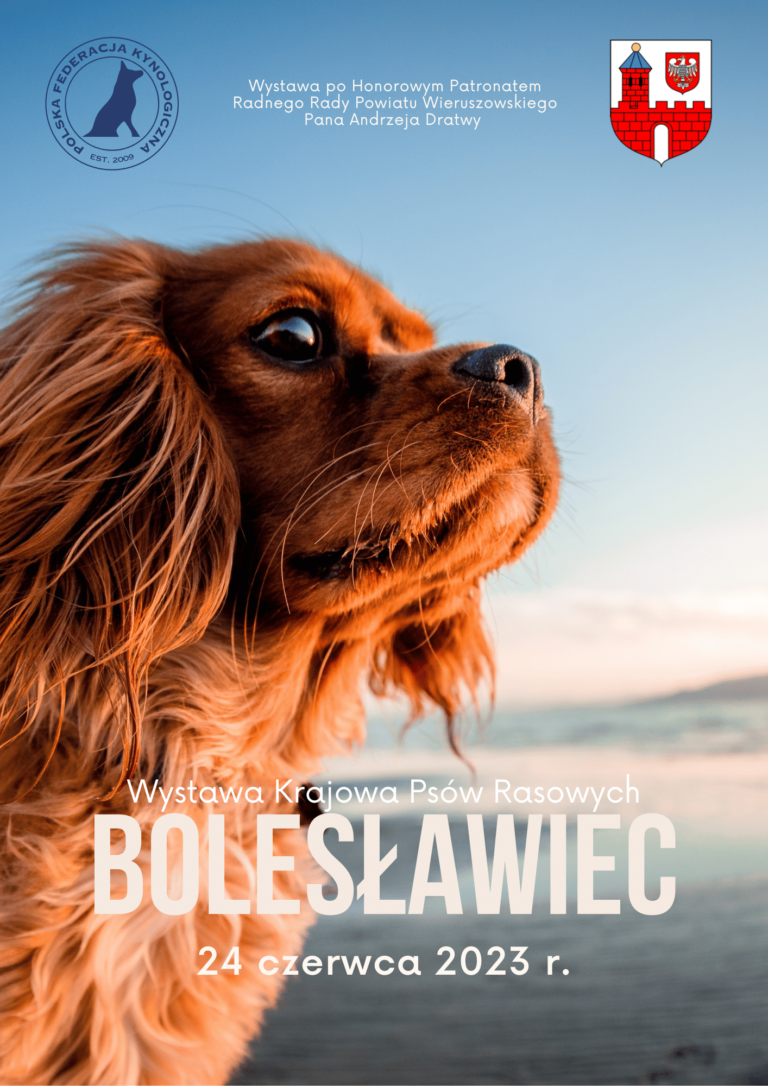 Krajowa Wystawa Psów Rasowych - Bolesławiec - 2023