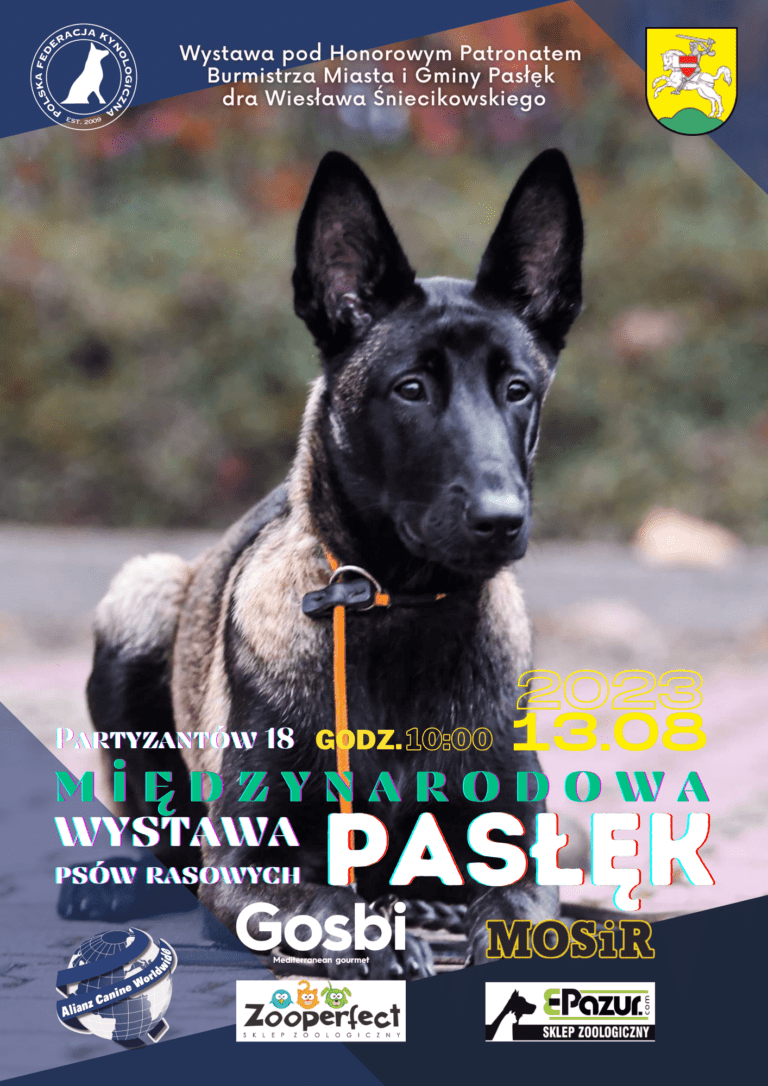 Międzynarodowa Wystawa Psów Rasowych - Pasłęk - 2023