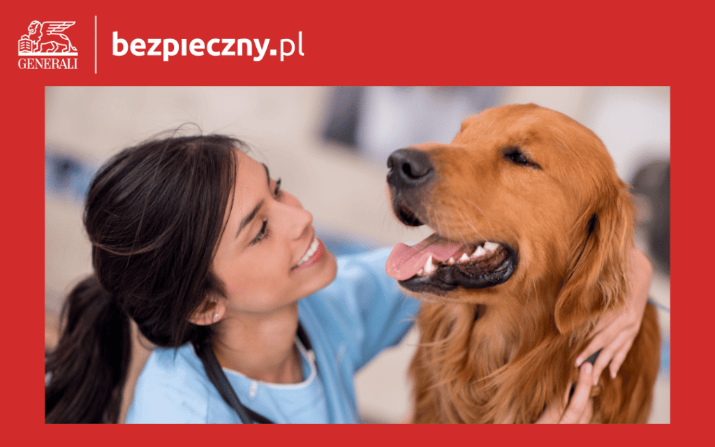 Ubezpieczenie psa z bezpieczny.pl