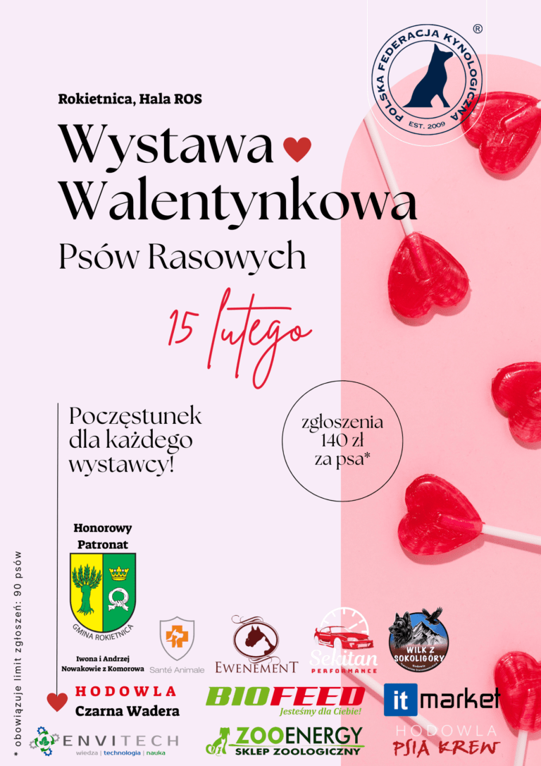 Wystawa psów rasowych - Rokietnica 2025